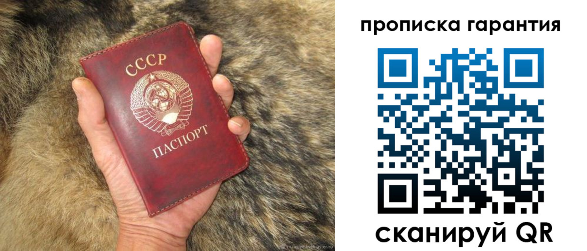 временная регистрация гарантия в Новодвинске
